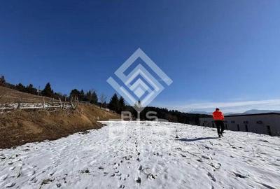 Teren de 2623 mp, în Colibița - 3