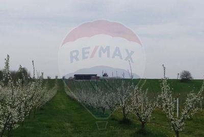 Vanzare teren Livada - Ferma Arges - Izbasesti / DN 142 l... - 11