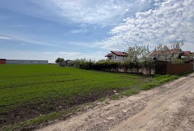 Teren de 1000 mp, în Costi - 2
