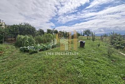 Casa individuala  Ileni Fagaras Brasov - 26