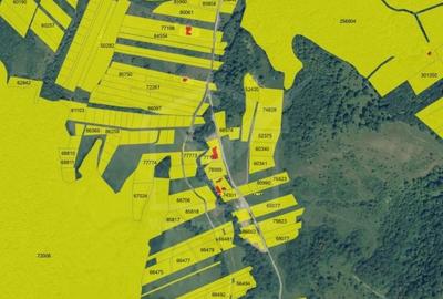 Teren autorizat pe Valea Garboului, Floresti limita Cluj, Intravilan-UL1, 707mp Teren autorizat pe Valea Garboului, Floresti limita Cluj, Intravilan-UL1, 707mp - 6