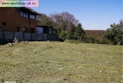 Teren de 1700 mp, în Păulești - 2