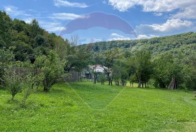 Teren intravilan (faneata) de vanzare  - 2231 mp, Telega, jud. Prahova - 3