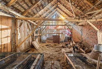 Gospodarie autentică bănățeană, cu teren generos și livadă – Frumușeni - 13