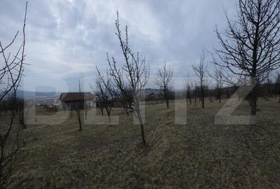 Teren de 900 mp, în Central - 2