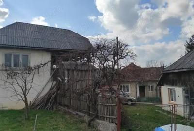 Gospodarie de vanzare in Oarta De Jos cu anexe si 49 ari teren Gospodarie de vanzare in Oarta De Jos cu anexe si 49 ari teren - 3