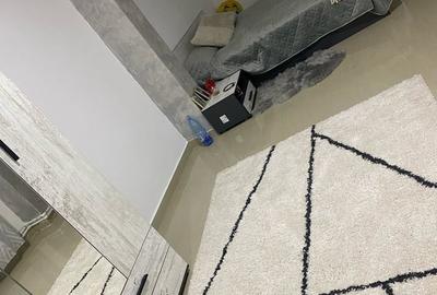 Casă cu 2 camere cu Teren 10 Mp în Calea Plevnei - 8