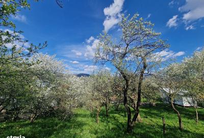 Spațiu comercial, în Ghioșești - 4