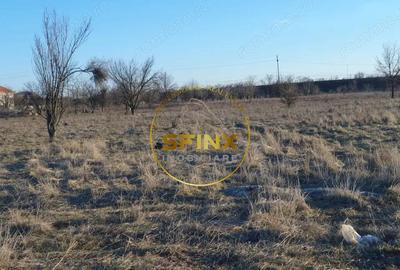 Teren intravilan | Soseaua Alexandriei | 10.000 mp | deschidere 32 mp - 8