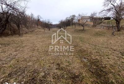 Teren de 1944 mp, în Pianu