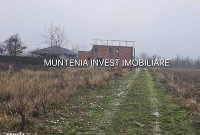 Spațiu comercial, în Moșoaia - 3