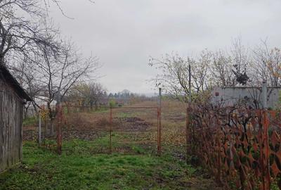 Casă cu 3 camere în Verguleasa - 4