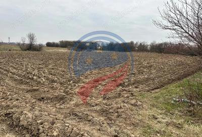 Teren de 935 mp, în Brădești - 1