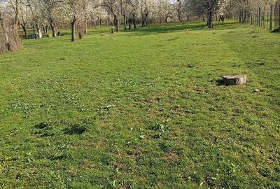 Casă cu 7 camere cu Teren 1974 Mp în Sud - 15
