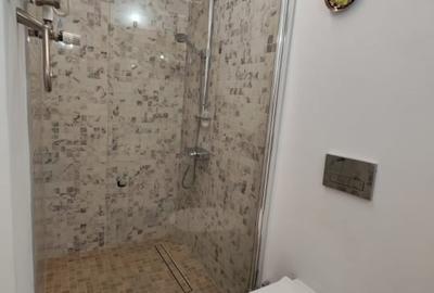 Apartament cu 3 camere decomandat, mobilat în P-ta Presei Libere - 19