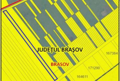 Teren de 17300 mp, în Central