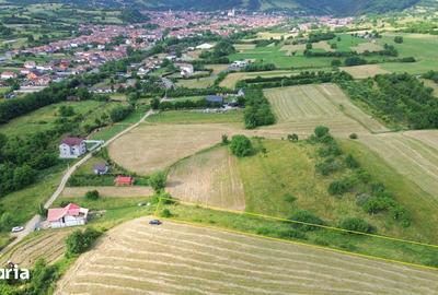Teren de 1512 mp, în Rășinari - 3
