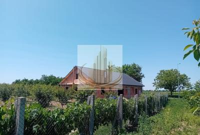 Teren agricol intravilan de 16000 mp, în Belinț - 10