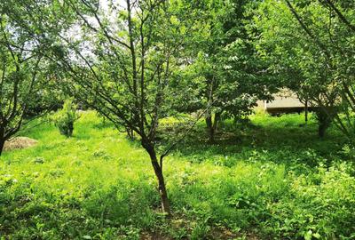 Manuel recomanda : Vila superba in Cornu de Jos 295mp , teren 1360mp Manuel recomanda : Vila superba in Cornu de Jos 295mp , teren 1360mp - 34