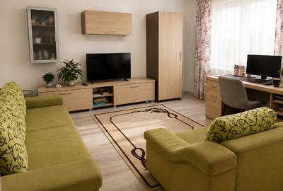 Apartament cu 2 camere semidecomandat în Șelimbăr - 9