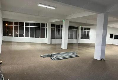 Spatiu de birouri, 225 mp, zona Lunca Barzavei, Re?i?a - 4