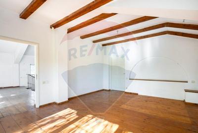 Spațiu comercial, de 474 mp, în Snagov - 4