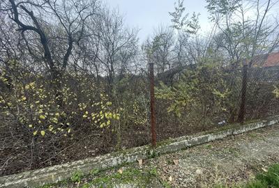 Teren in suprafata de 2165 mp cu front de 30 ml - 6