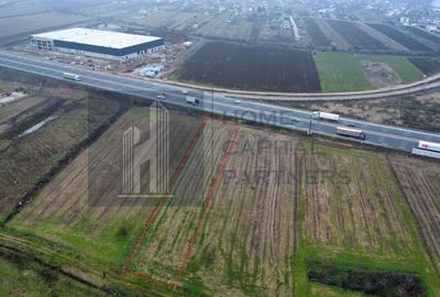 Teren 2727mp | Moara Vlasiei, Caciulati | A3 - 4