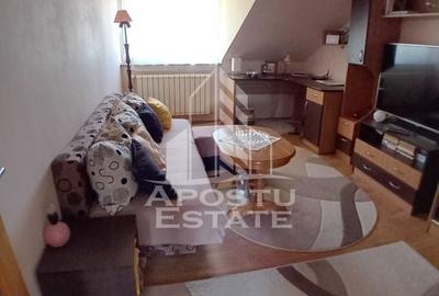 Casa cu 4 camere in zona Fratelia, teren de 1097 mp - 3