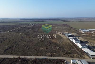 Teren de vanzare cu autorizatie pentru 2 hale - Otopeni - 10.000 mp - 9