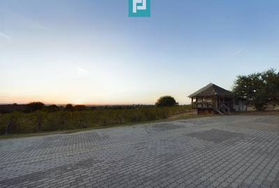 Casă individuală cu 6 camere cu Canalizare în Miniș - 50