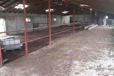 Spațiu comercial, de 1,200 mp, în Potlogi - 2