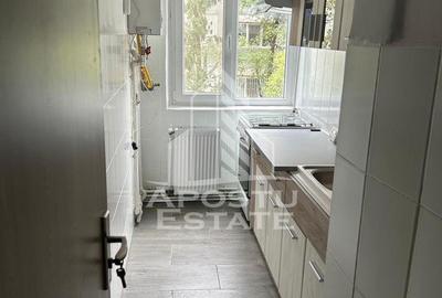 Apartament cu 2 camere, mobilat în Iosefin - 1