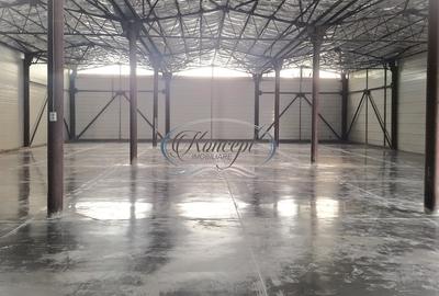 Hala ideala pentru productie sau logistica, pe Calea Baciului - 4