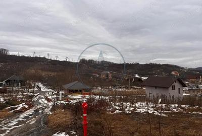 Teren de 550 mp, în Central