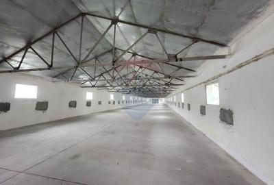 Spațiu industrial, de 683 mp, în Dârvari