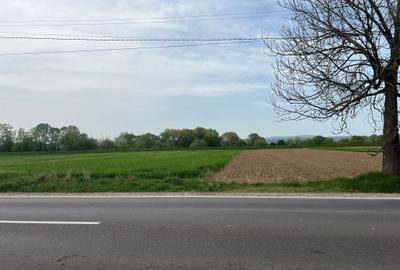 Teren intravilan, 2400 mp, Lunca Calnicului, DN11 - 5