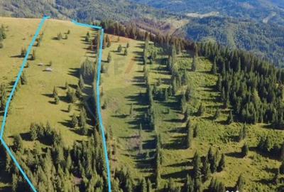 Teren de 47732 mp, în Panaci - 1