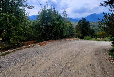 Teren de 2400 mp, în Borșa - 3