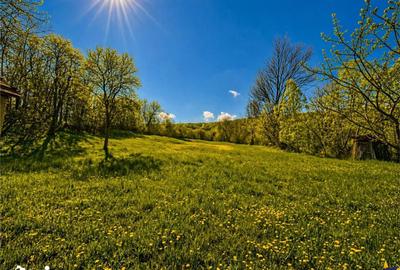 Casă cu 2 camere cu Teren 3400 Mp în Acățari - 13