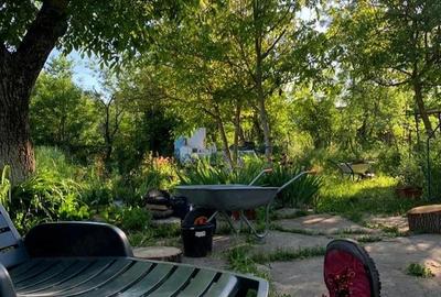 Casă cu 2 camere cu Teren 1242 Mp în Teș - 9