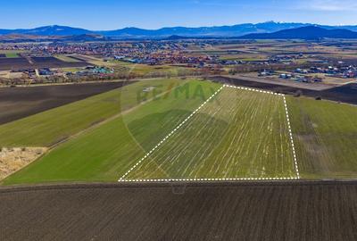 Teren Construcții intravilan de 500 mp, în Bod - 2