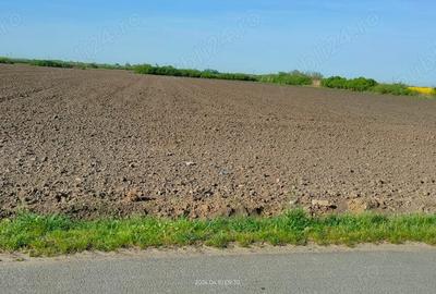 Teren de 10000 mp, în Cerneteaz - 1