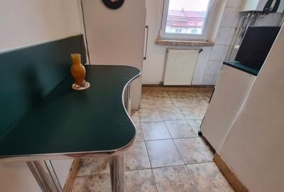 Garsonieră semidecomandată în Beba Veche - 3