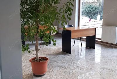 Inchiriere Spatiu Birouri Parter Ultracentral cu Vitrine - 2
