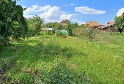 Teren Construcții intravilan de 2120 mp, în Gilău - 7
