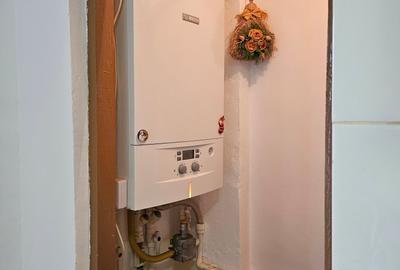 Far - 2 camere mobilat, gaze. - 4