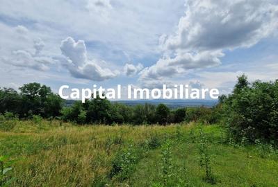 Teren Baia Sprie: 5143 mp, Parcelabil, Comision 0! - 6