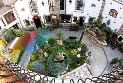 Exclusivitate si Istorie - Castelul Printul Vanator din Turda Exclusivitate si Istorie - Castelul Printul Vanator din Turda - 4