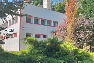 Spațiu comercial, de 230 mp, în Titu Maiorescu - 8